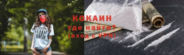дживик Горняк
