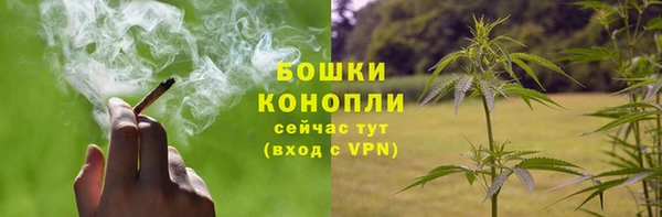 СК Горно-Алтайск