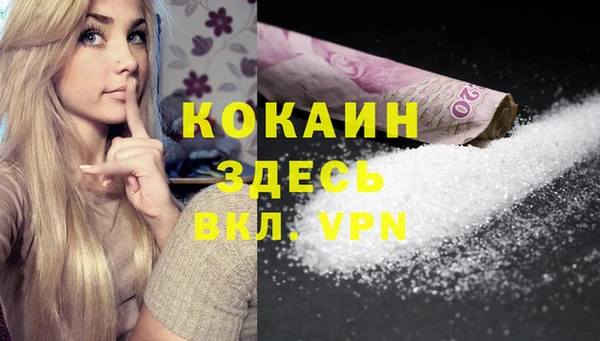 дживик Горняк