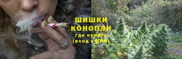 СК Горно-Алтайск