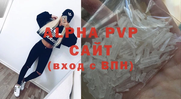 СК Горно-Алтайск