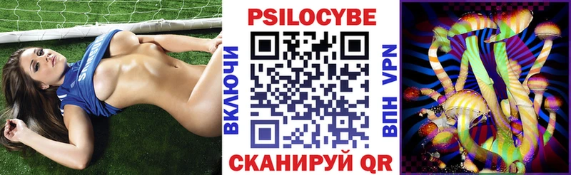 где найти наркотики  Королёв  Псилоцибиновые грибы Psilocybe 