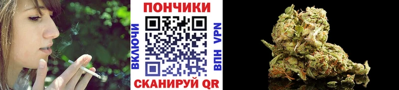 Бошки Шишки сатива нарко площадка какой сайт mega зеркало Королёв закладка
